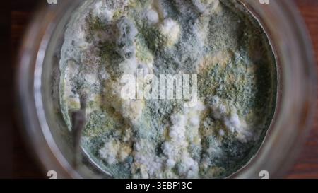 Blue mold on the surface of canned food in an open glass jar, top view, dangerous microorganisms in expired food or canned goods, view of moldy food Stock Photo