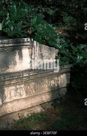 Ancient Roman inscription on weathered stone in a lush green garden setting Stock Photo