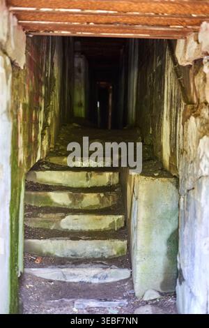 A narrow, dilapidated concrete corridor with moss-covered walls and steps leading into darkness. The entrance features a weathered wooden lintel Stock Photo