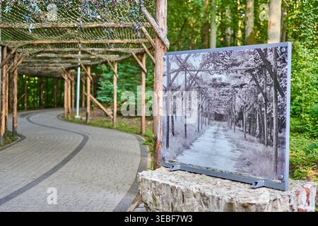 A paved curved pathway lined with a rustic wooden pergola structure covered in camouflage netting winds through a lush green forested area. In the Stock Photo