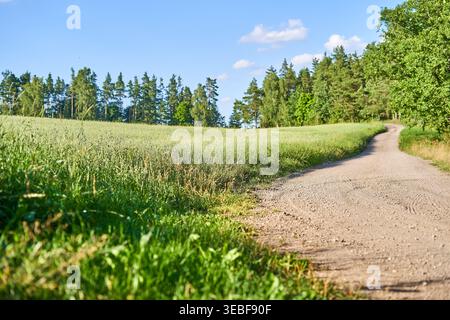 A scenic summer landscape featuring a winding dirt road cutting through lush green farmland. The gravel path curves gently to the right, bordered by Stock Photo