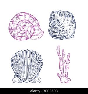 A collection of hand-drawn marine-themed vector illustrations featuring various shells and corals. Scallops, nautiluses, and corals are all hand-drawn Stock Vector