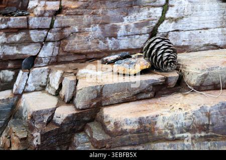 Layered rock with cone scene. Mountain pattern background. Stock Photo