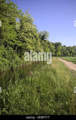 Paved trail in the countryside next to a cultivated field and a stream of water by the edge of a forest, seen on a sunny day Stock Photo