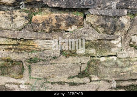 Old stone wall with mossy texture background. Stock Photo