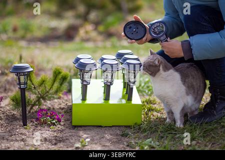 Gardener installing garden solar powered post light with cat. Automatic sustainable energy efficient outdoor lamp for decor Stock Photo