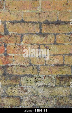 Vintage brick wall texture background. Stock Photo