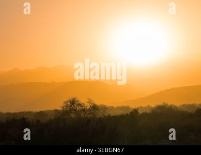 Golden sunrise over mountain silhouettes and desert trees Stock Photo