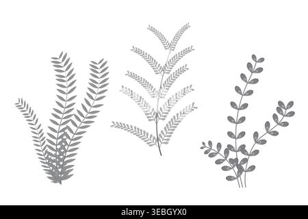 Set of three Handdrawn abstract natural leafs botnical design, art floral elements, Hand made natural leafs brunch Stock Vector