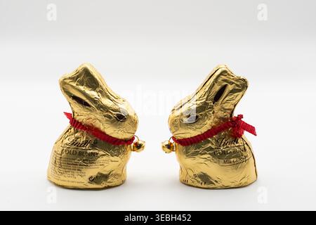 The Lindt Gold Bunny is an iconic, hollow milk chocolate Easter figure wrapped in signature gold foil with a red ribbon and ringing bell. England Stock Photo