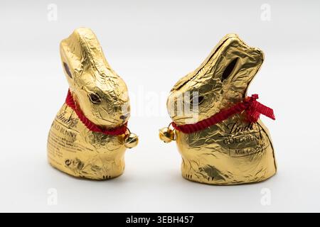 The Lindt Gold Bunny is an iconic, hollow milk chocolate Easter figure wrapped in signature gold foil with a red ribbon and ringing bell. England Stock Photo