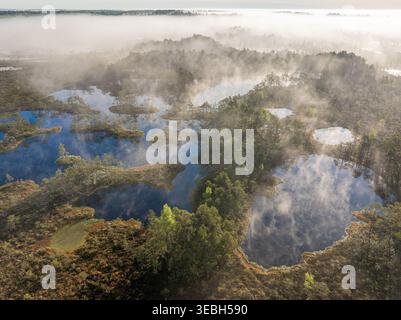 Steaming swamp lakes on a summer morning. Laugas Swamp. Latvia. Stock Photo