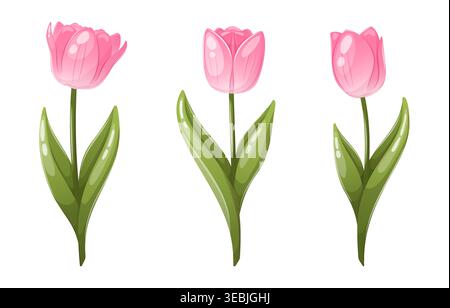 Pink tulip flowers set with leaves vector Stock Vector
