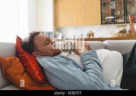 Young man playing with little kittens. Care and love for animals Stock Photo