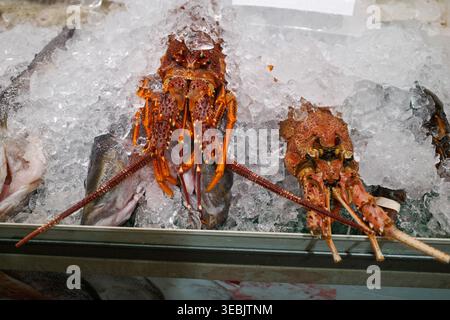 Fresh lobster rests on ice in a market display. Crayfish lies beside it, both vividly colored. Ice surrounds them, keeping seafood chilled. Display ca Stock Photo