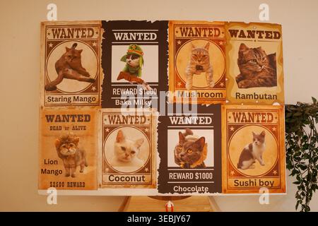 Wanted posters feature cats and a dog. Each poster has a unique animal and text. Animals look at the viewer with curiosity. Design uses vintage-style Stock Photo