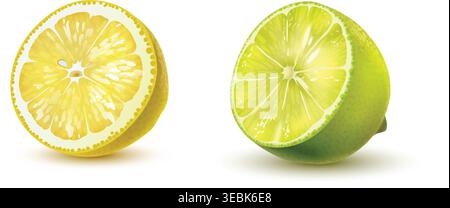 Fresh lemon and lime green and yellow Stock Vector