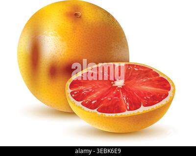 Realistic orange fruit composition Vibrant orange segment Stock Vector