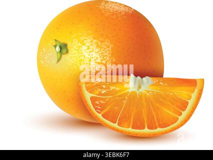 Realistic orange fruit composition Vibrant orange segment Stock Vector