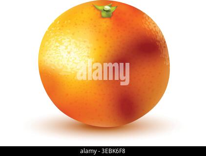 Realistic orange fruit composition Vibrant orange segment Stock Vector