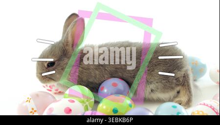 Lying soft gray-brown rabbit stretching on white backdrop with pastel eggs, overlays, white lines Stock Photo