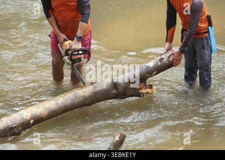 Focused worker holding chainsaw cutting heavy wood log standing in shallow water river clearing timber obstacle outdoors showing hardworking determine Stock Photo