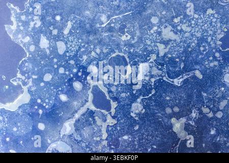 Abstract blue fluid texture art background evokes calm emotion, featuring dynamic liquid cell pattern design resembling ocean water wave foam and free Stock Photo