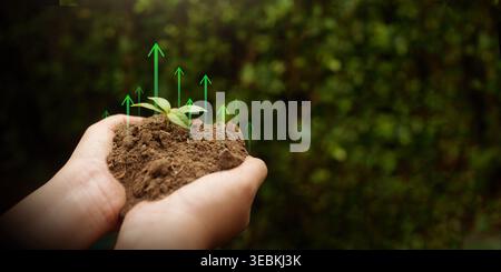 Green seedling growing from soil in hands with upward arrows. Sustainable growth, green investment, agriculture, eco business, progress, future develo Stock Photo