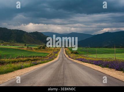 Empty road stretching through Altai mountains, green fields, and purple flowers under a dramatic dark storm sky Stock Photo