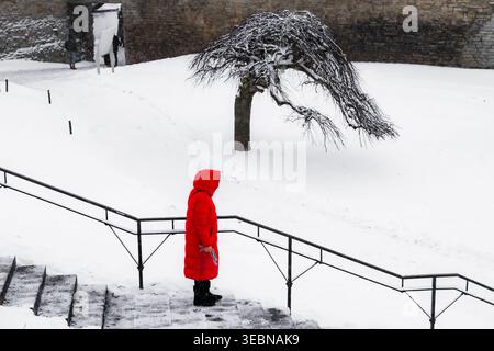 View of a solitary figure in a vibrant red coat stands out against the stark white snow and ancient stone walls, Tallinn, Estonia. Stock Photo