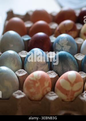 Blue and Orange Dyed Easter Eggs with Floral Imprints in Egg Carton Stock Photo