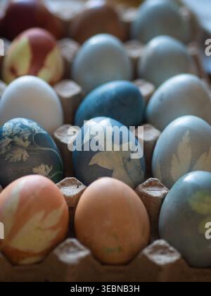 Blue and Orange Dyed Easter Eggs with Floral Imprints in Egg Carton Stock Photo