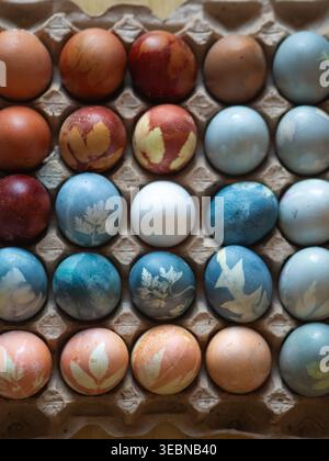 Organically Dyed Easter Eggs with Floral Imprints in Egg Carton Stock Photo