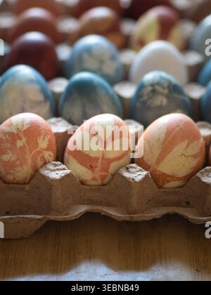 Dyed Easter Eggs with Floral Imprints in Egg Carton Stock Photo