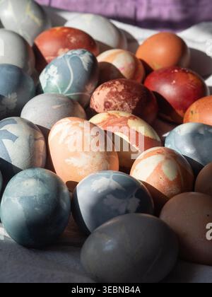 Dyed Easter Eggs with Floral Imprints in Sunshine Stock Photo