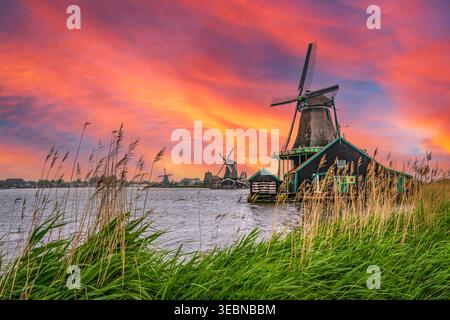 Historic windmills at sunset in Zaanse Schans Stock Photo
