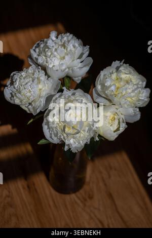White peonies are placed in a clear glass vase on a wooden table. Sunlight highlights the flowers and casts shadows across the surface. Green leaves s Stock Photo