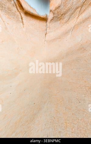 Detailed view of a ripped sheet of light brown paper, showcasing its fibrous texture and subtle wrinkles Stock Photo