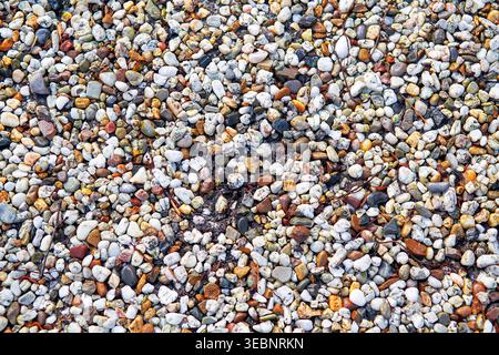 High-angle close-up of multicolored small pebbles and natural gravel. This organic stone texture represents zen wellness, sustainable landscaping, and Stock Photo