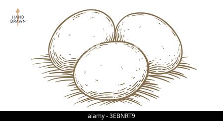 Eggs, sketch, hand drawn. Sketch artwork Stock Vector