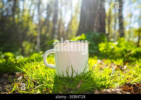 White enamel camping mug on green grass moss in sunlit birch forest Stock Photo