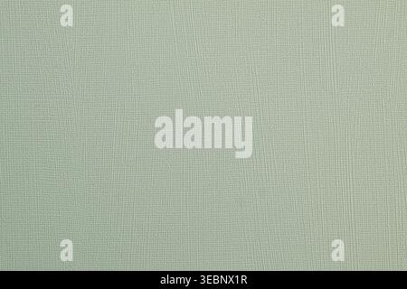 Close-up of light green textured paper with fine woven pattern Stock Photo