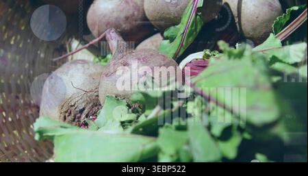Displaying beetroots with leafy greens resting in woven basket on stall, with soil and overlays Stock Photo