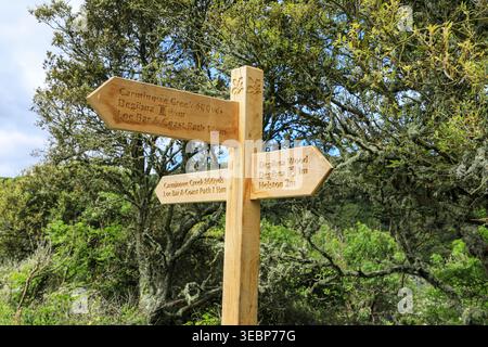 A wooden footpath sign post at Loe Bar, near to Helston, Cornwall, England, UK Stock Photo