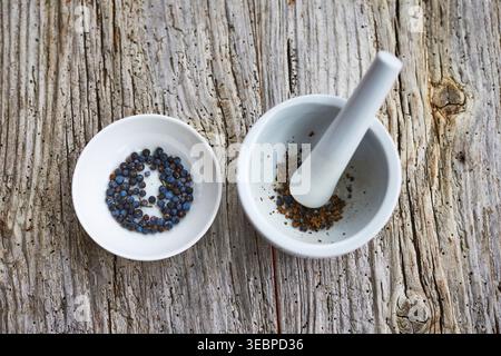 Common Juniper (Juniperus communis). Berries are crushed in a mortar. Germany Stock Photo