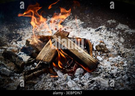 Fire: Burning wood in a fire bowl Stock Photo