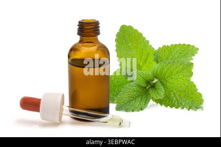 Glass dropper bottle with Melissa officinalis (lemon balm) herbal extract, isolated on white background. Natural remedy concept, essential oil, phytot Stock Photo