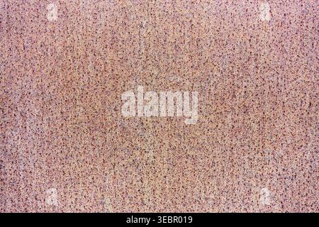 Close-up of a pink and beige speckled texture background with a fine grainy pattern. Neutral abstract surface for design and creative projects. Stock Photo