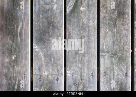 Grey wood texture wall for background. HDR. Stock Photo