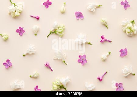 Scattered lilac flowers and petals on beige background, flat lay pattern Stock Photo